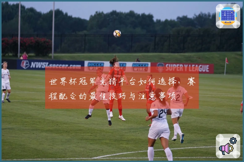 世界杯冠军竞猜平台如何选择，赛程配合的最佳技巧与注意事项