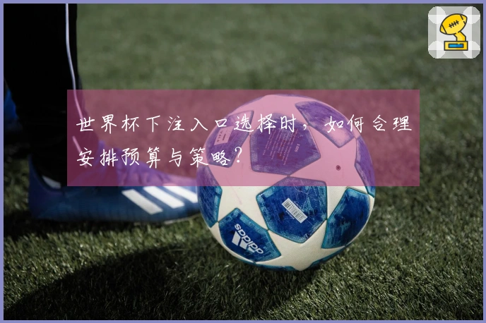 世界杯下注入口选择时，如何合理安排预算与策略？