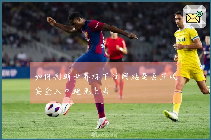 如何判断世界杯下注网站是否正规安全入口避免上当