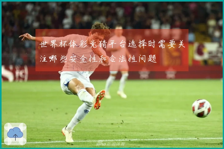 世界杯体彩竞猜平台选择时需要关注哪些安全性和合法性问题