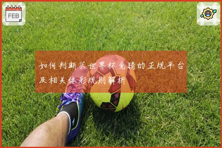 如何判断买世界杯竞猜的正规平台及相关体彩规则解析
