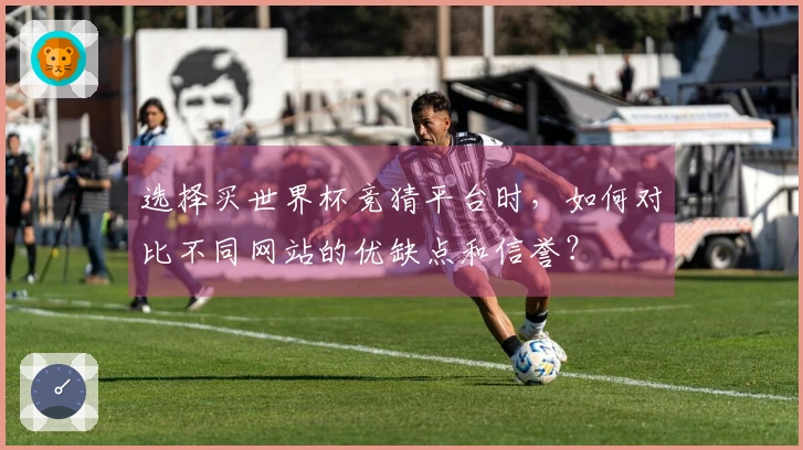 选择买世界杯竞猜平台时，如何对比不同网站的优缺点和信誉？