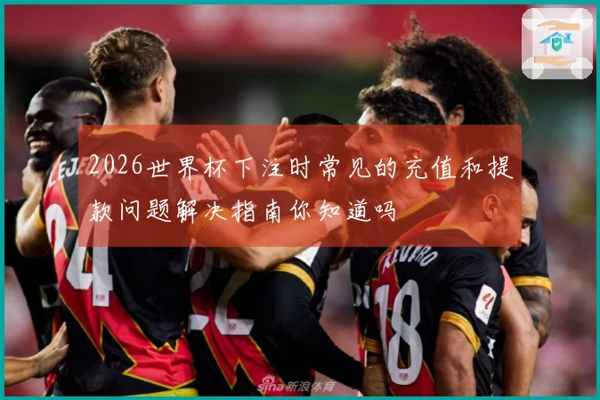 2026世界杯下注时常见的充值和提款问题解决指南你知道吗