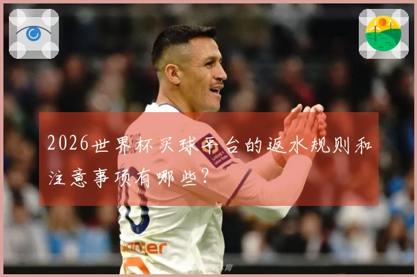 2026世界杯买球平台的返水规则和注意事项有哪些？