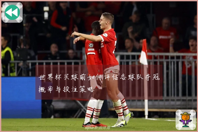 世界杯买球前如何评估各球队夺冠概率与投注策略