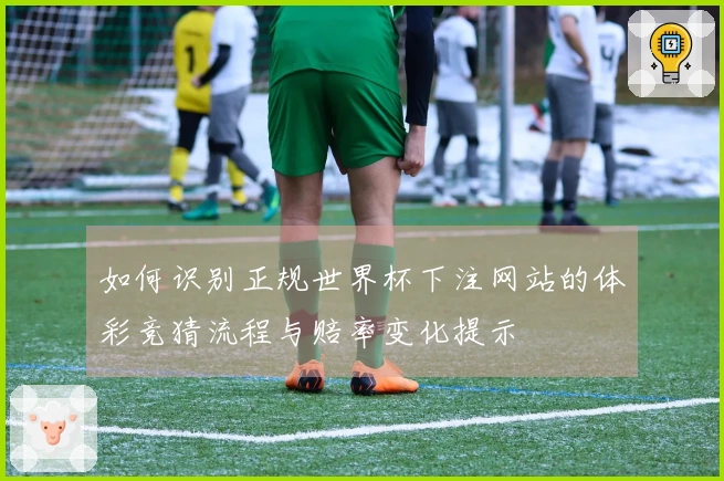 如何识别正规世界杯下注网站的体彩竞猜流程与赔率变化提示