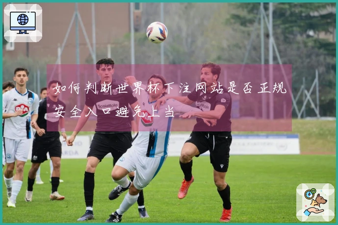 如何判断世界杯下注网站是否正规安全入口避免上当