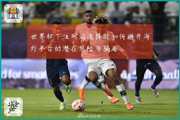 世界杯下注网站选择时如何避开海外平台的潜在风险与骗局