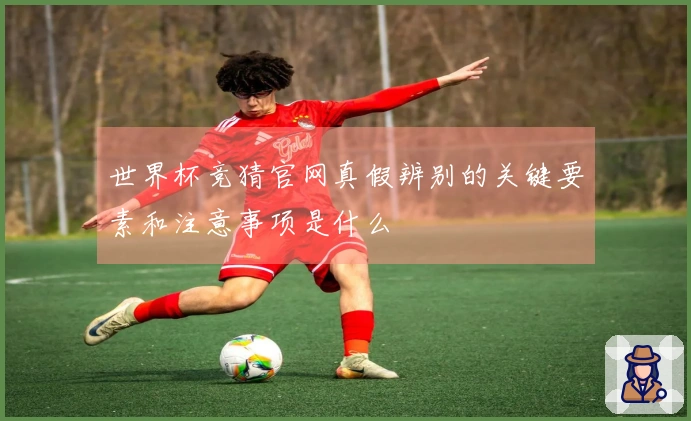 世界杯竞猜官网真假辨别的关键要素和注意事项是什么