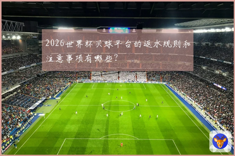 2026世界杯买球平台的返水规则和注意事项有哪些？