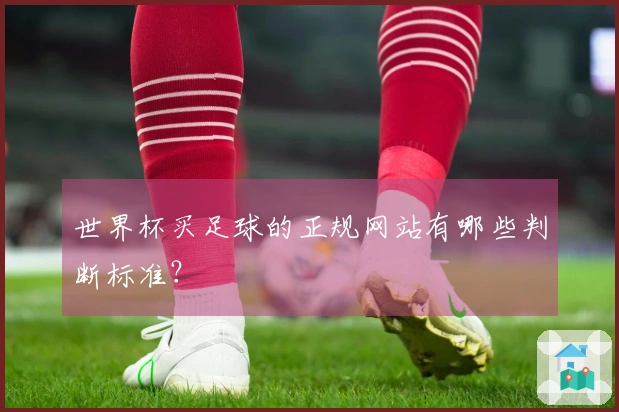 世界杯买足球的正规网站有哪些判断标准？