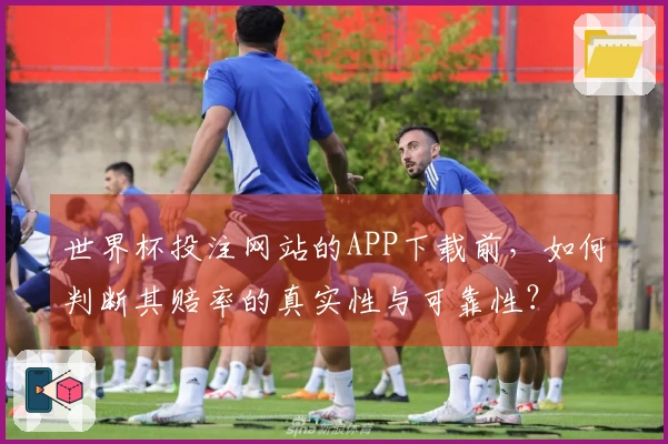 世界杯投注网站的APP下载前，如何判断其赔率的真实性与可靠性？