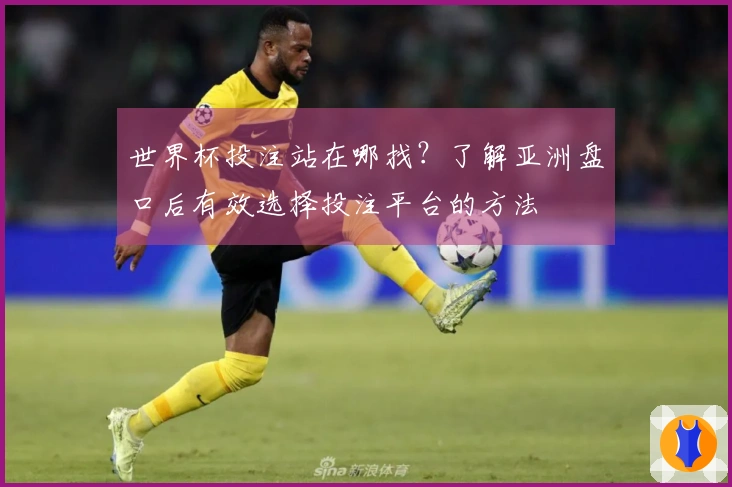 世界杯投注站在哪找？了解亚洲盘口后有效选择投注平台的方法