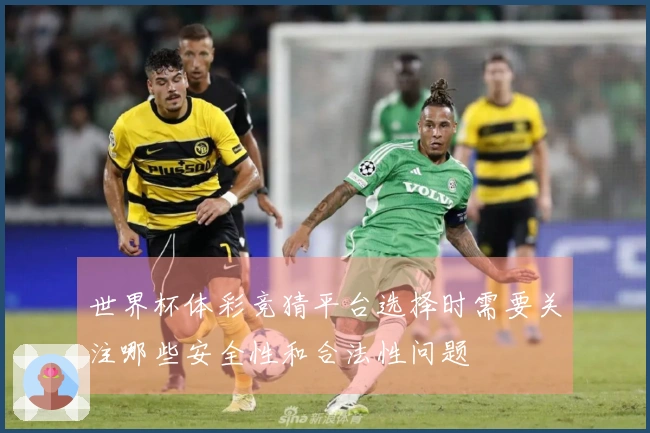 世界杯体彩竞猜平台选择时需要关注哪些安全性和合法性问题