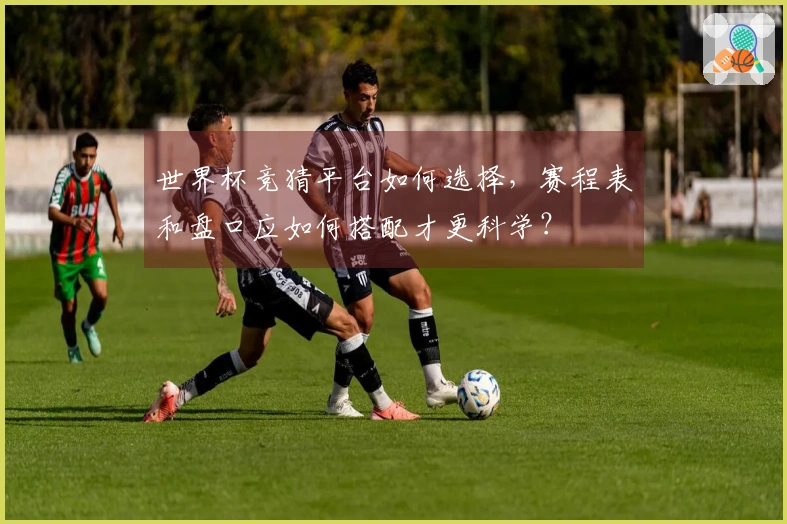 世界杯竞猜平台如何选择，赛程表和盘口应如何搭配才更科学？