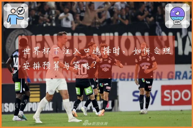 世界杯下注入口选择时，如何合理安排预算与策略？