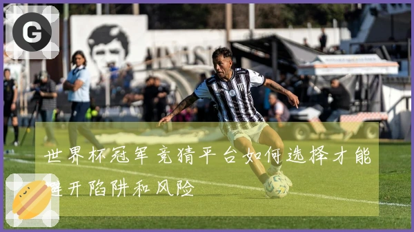 世界杯冠军竞猜平台如何选择才能避开陷阱和风险