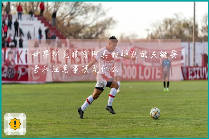 世界杯竞猜官网真假辨别的关键要素和注意事项是什么