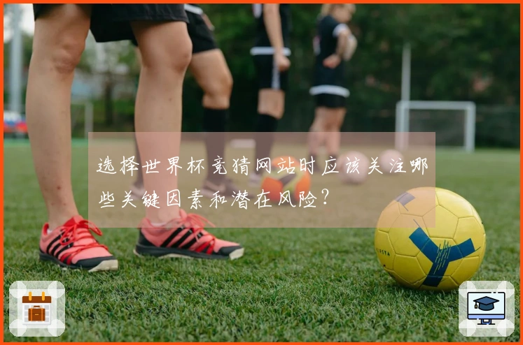 选择世界杯竞猜网站时应该关注哪些关键因素和潜在风险？