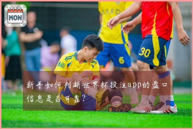 新手如何判断世界杯投注app的盘口信息是否可靠？